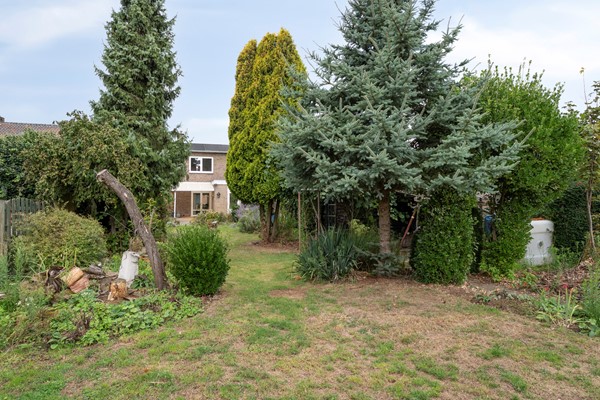 Medium property photo - Luipertstraat 15, 6237 NL Moorveld